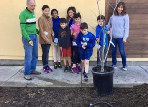 162 Trees Planted! Join Our Campaign….
