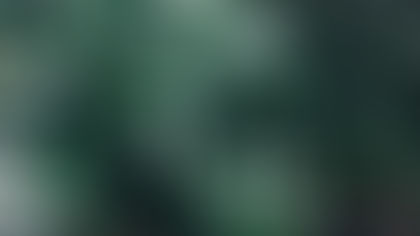 Double Rebates for Beautiful Low-Water Landscapes Until Sept. 30