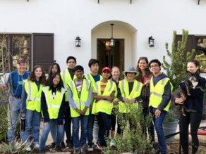 Our 500 Trees Campaign “Leaves” For Now, But Will Return!