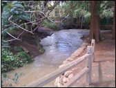 Join the GreenTown Los Altos Water Stewardship Committee