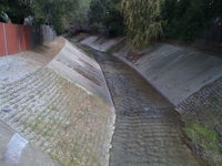 Join GreenTown for a Tour and Cleanup of Permanente Creek