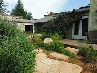 Poppies & Salvias with California Fescue
