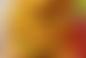 The Plant-Based Family: A guide to feeding your family that’s good for them and for the planet, too!