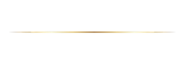 logo strich.png
