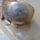 Thumbnail: Cypriot Silver 0,800 Footed Bowl With Embossed Designs. 124 Gram