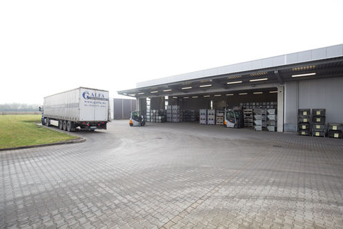 LKW steht am Verladetor einer Industriehalle für Transport oder Warenumschlag.