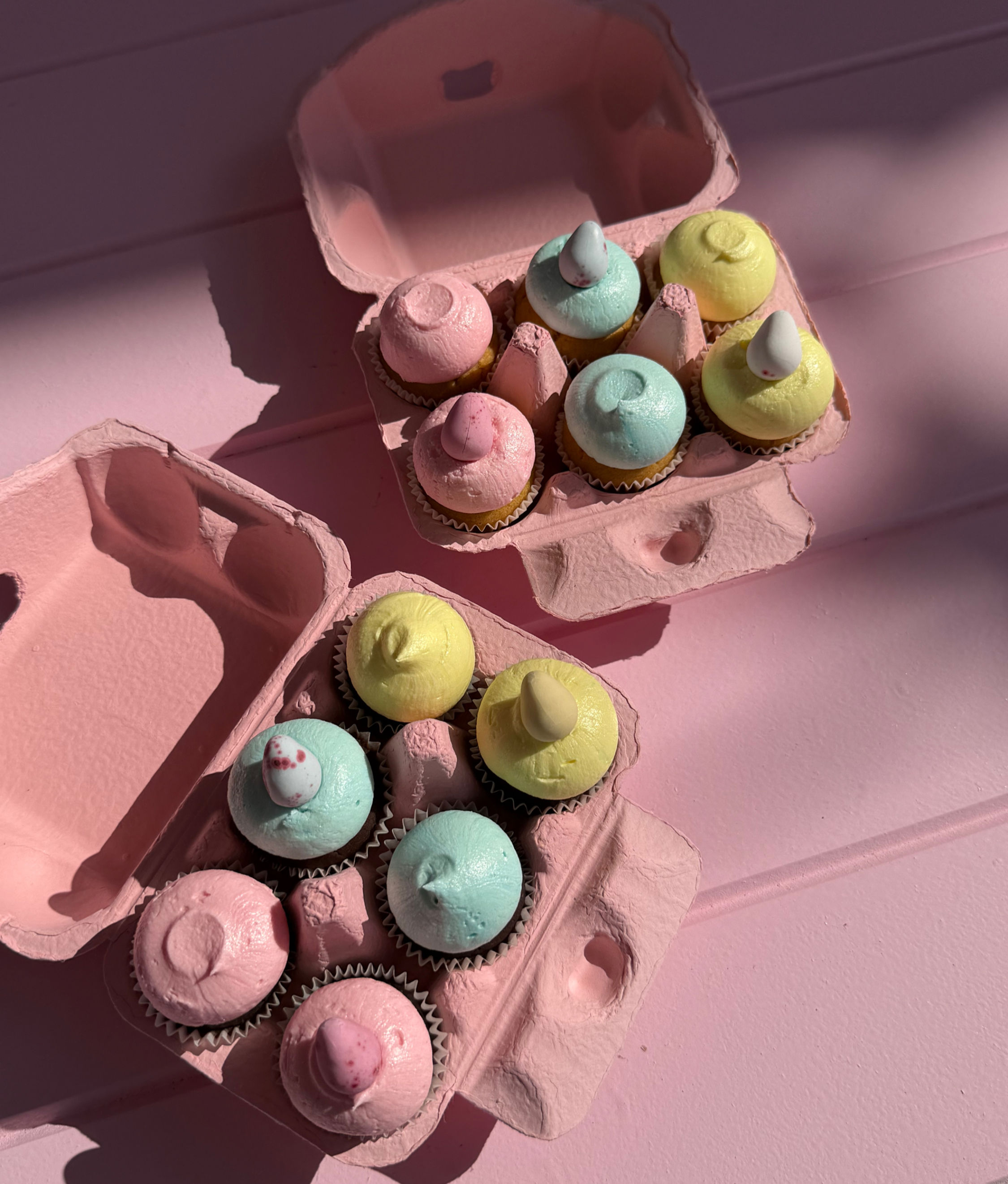 mini cupcake carton x6