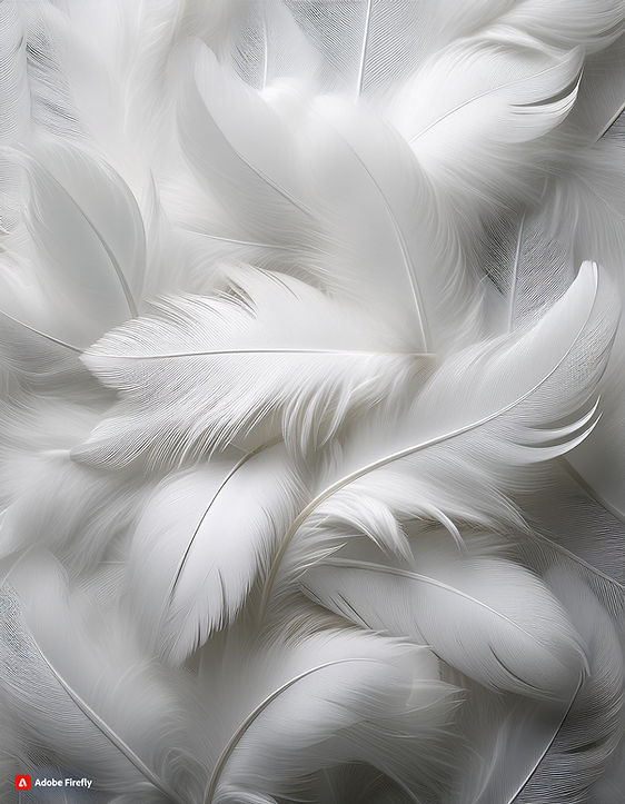 Firefly plumes blanches sur toute l'image 12436.jpg