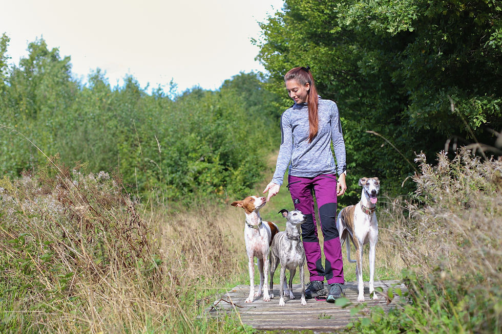 Communiquer avec les animaux, communication intuitive, accompagnement holistique