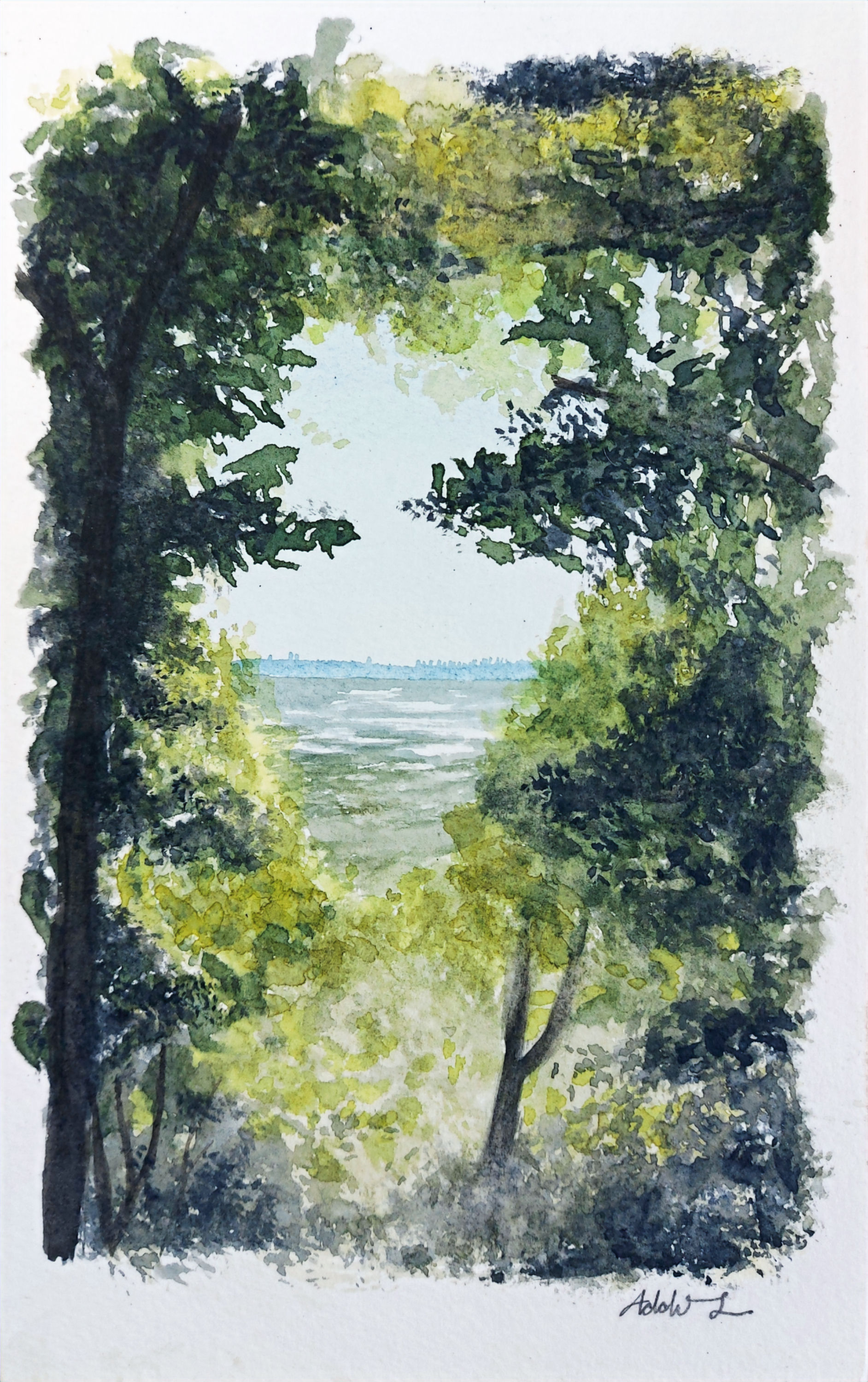 16/06/2024 Turkey Point Trail Head