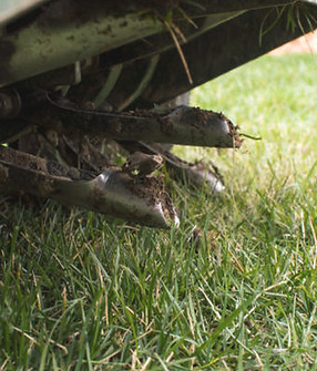 Screen Shot 2024-05-21 at 12_edited.jpg