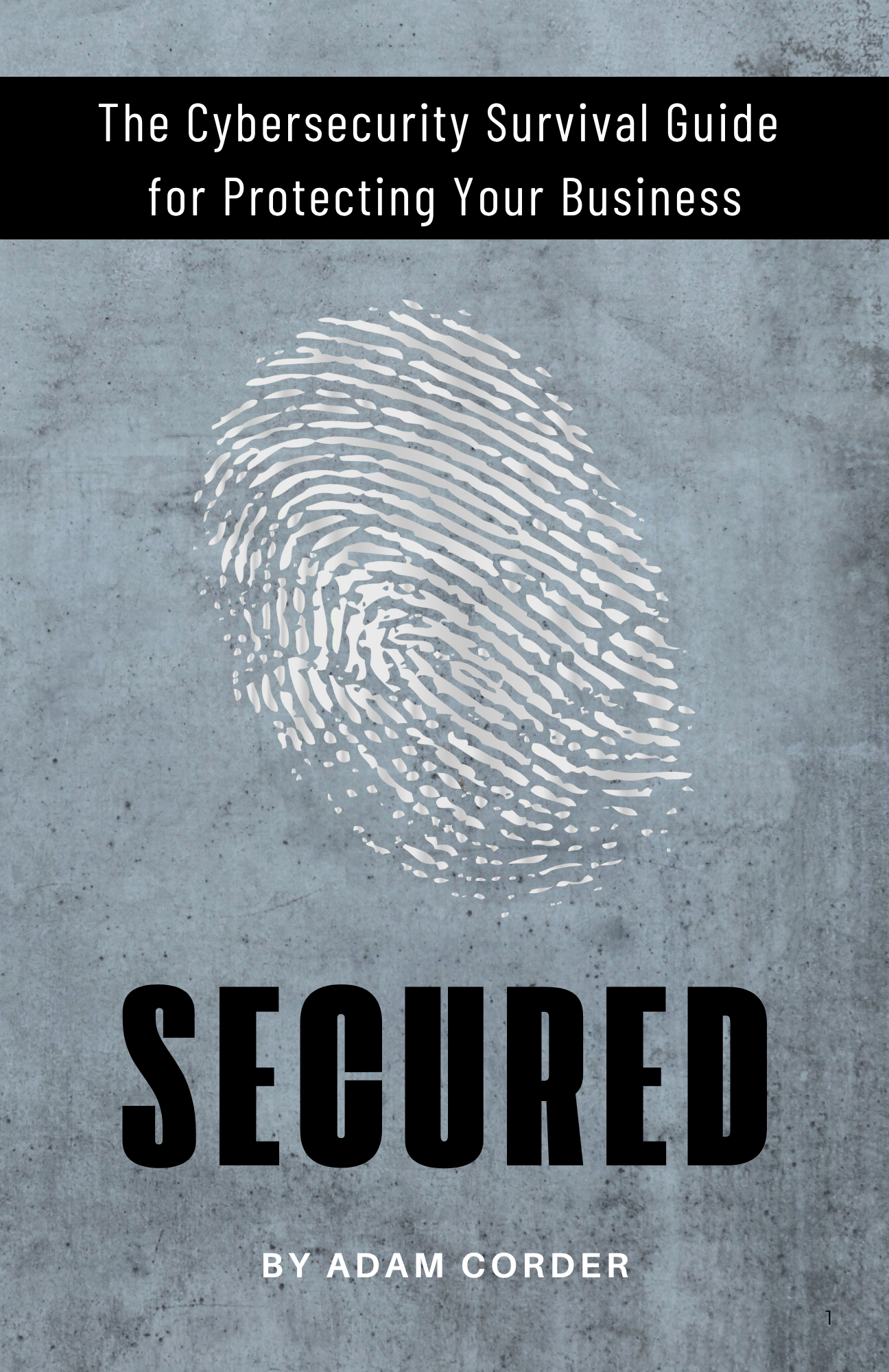SECURED The Cybersecurity Survival Guide