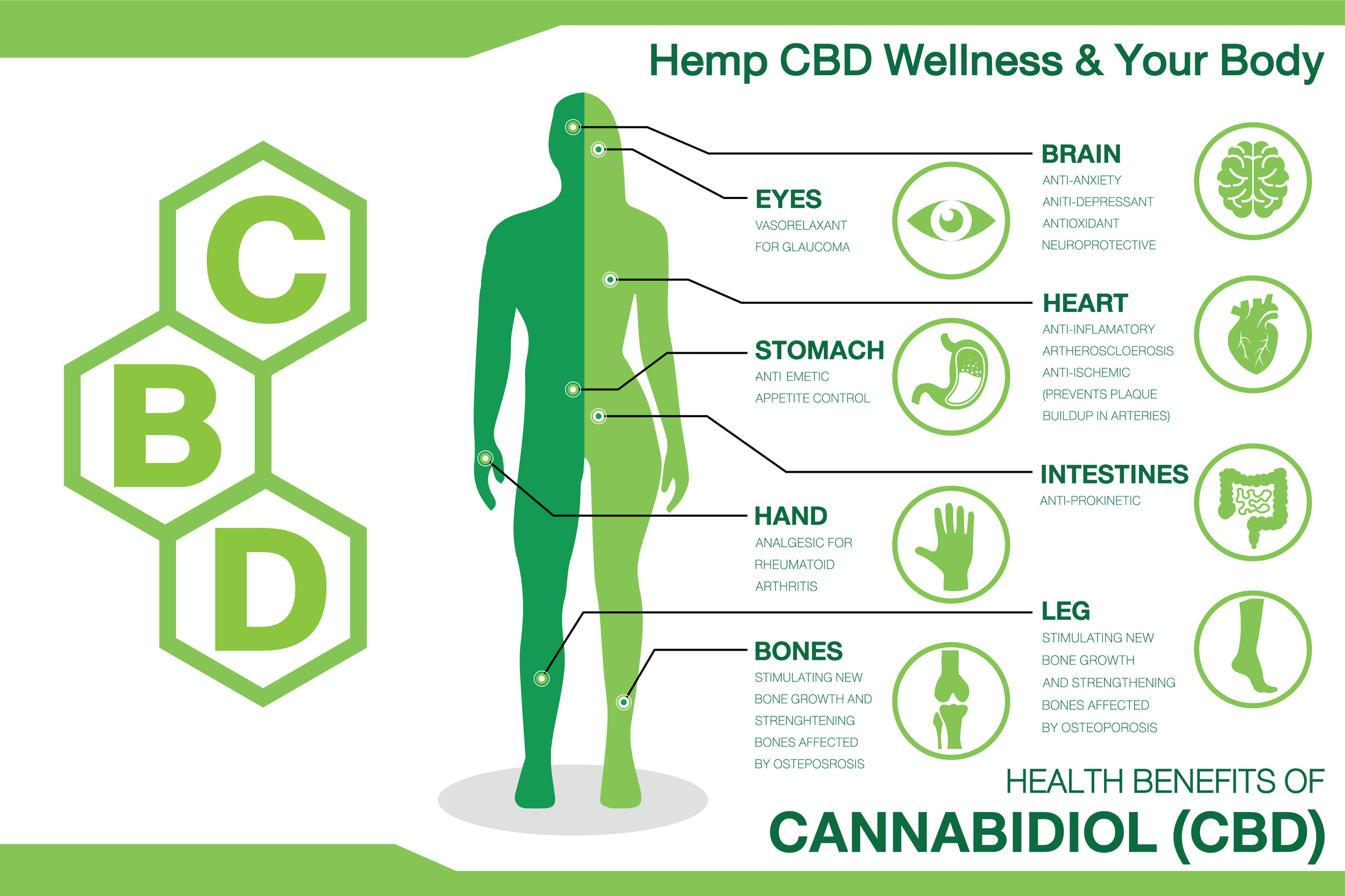 Can CBD Hemp Get You High?