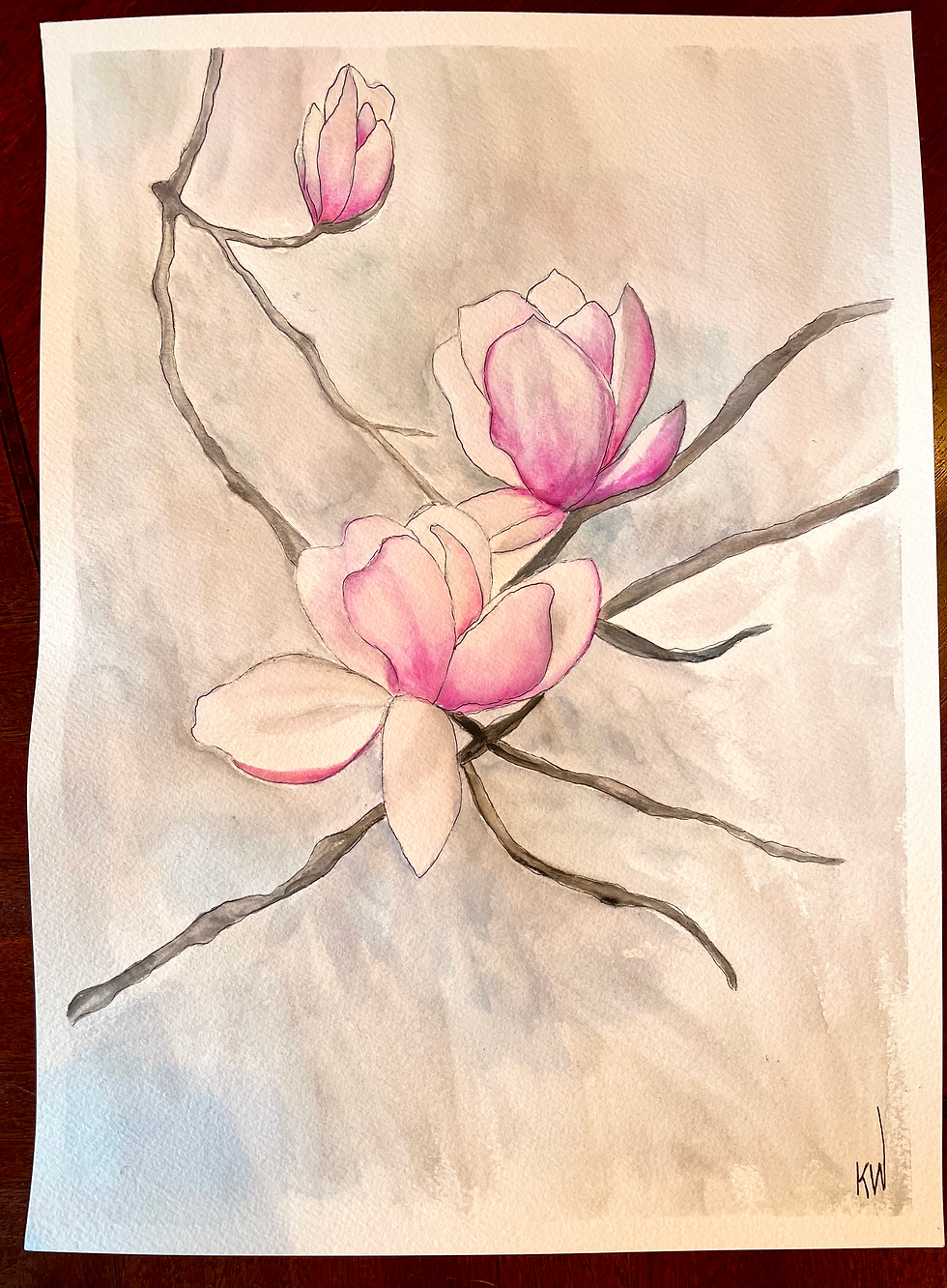 Magnolia Blossoms