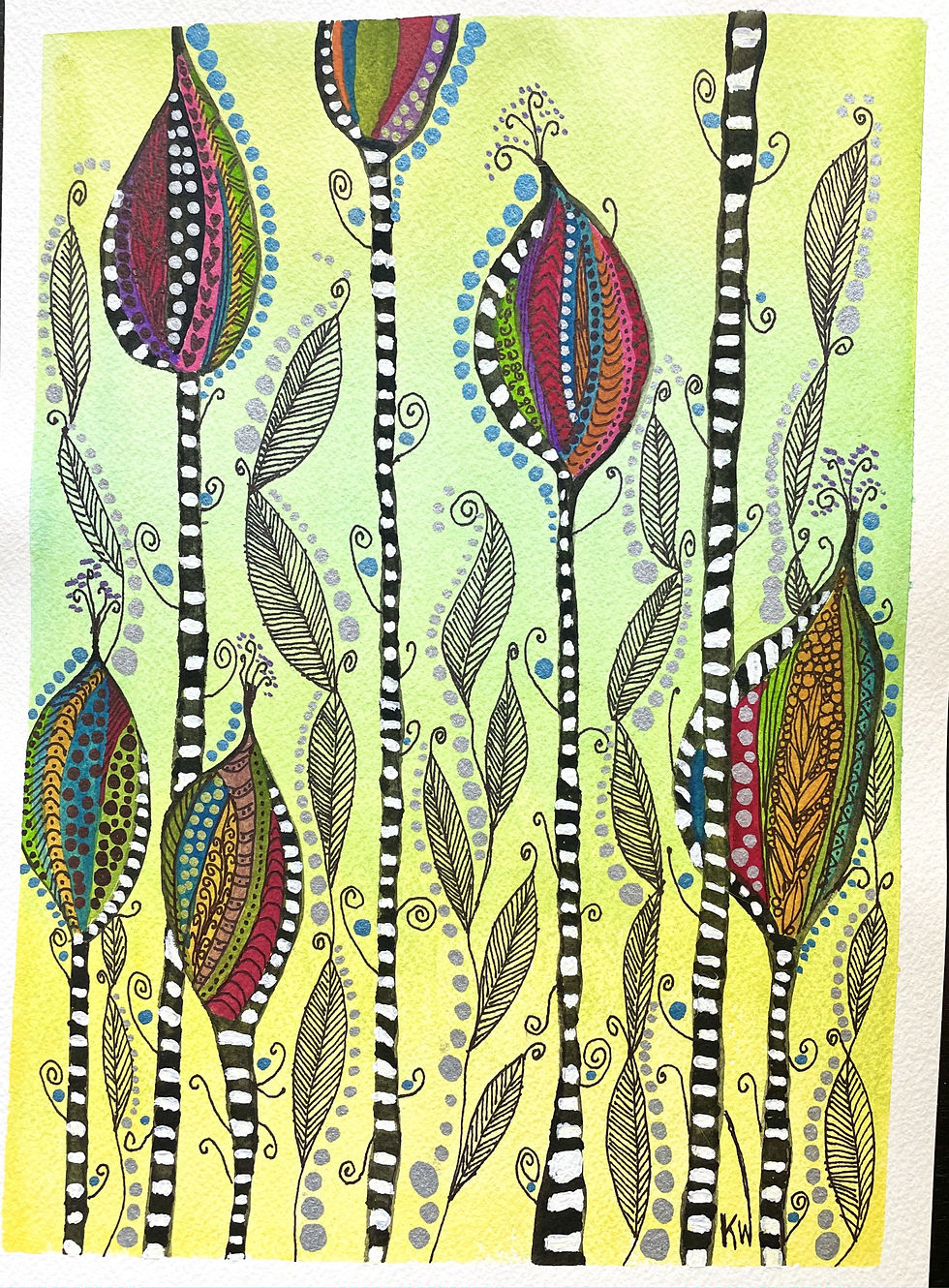 Seed Pods