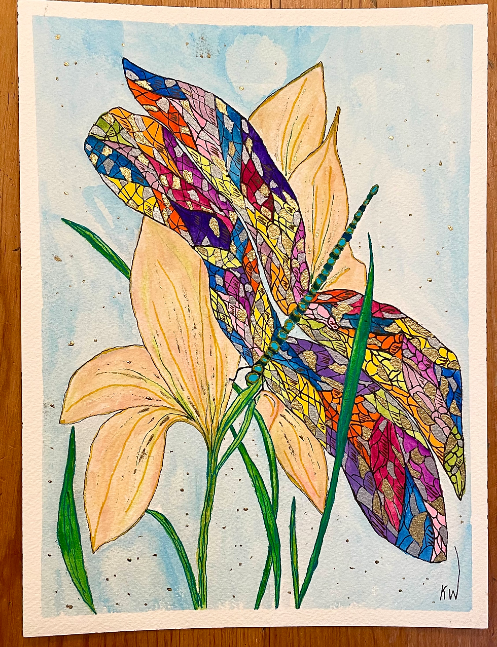 Dazzling Dragonfly
