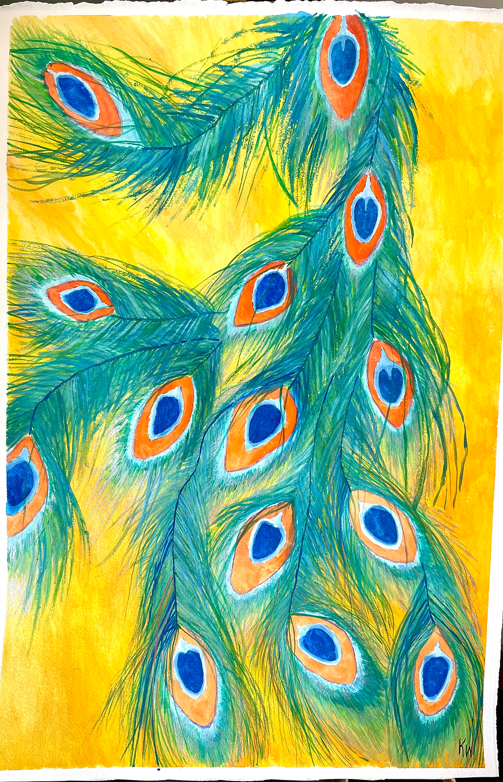 Peacock Feathers