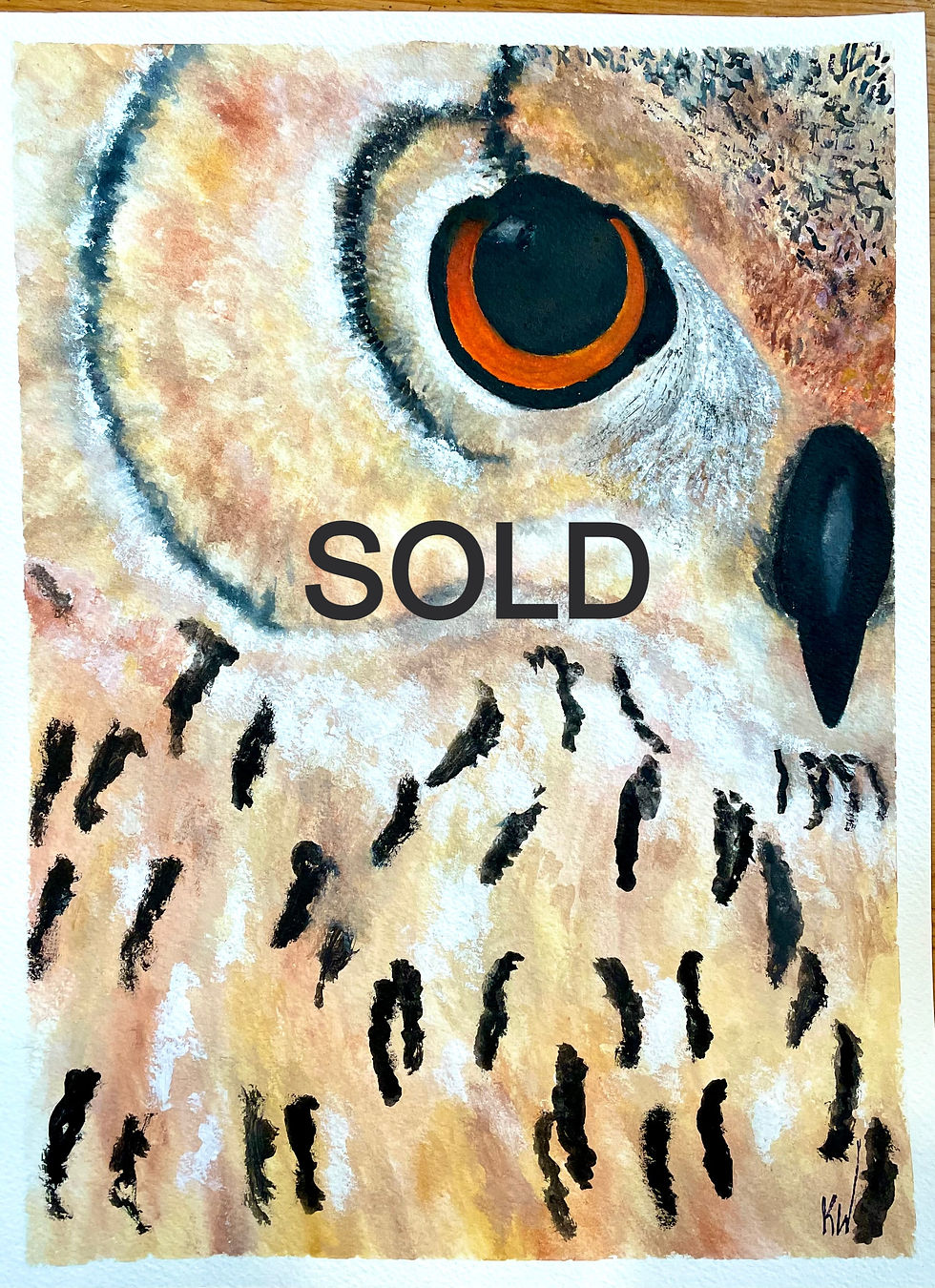 Owl