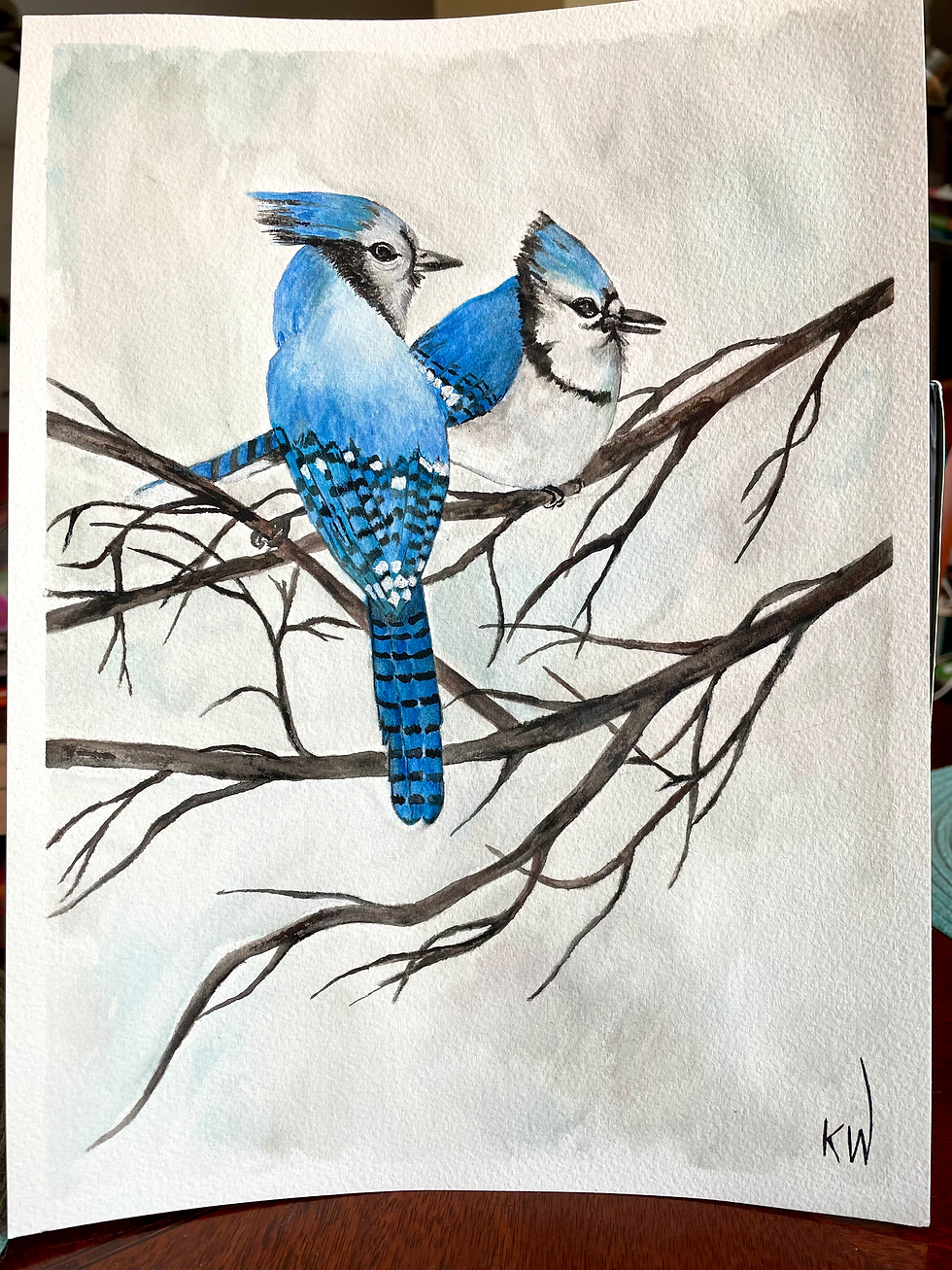 Pair of Jays