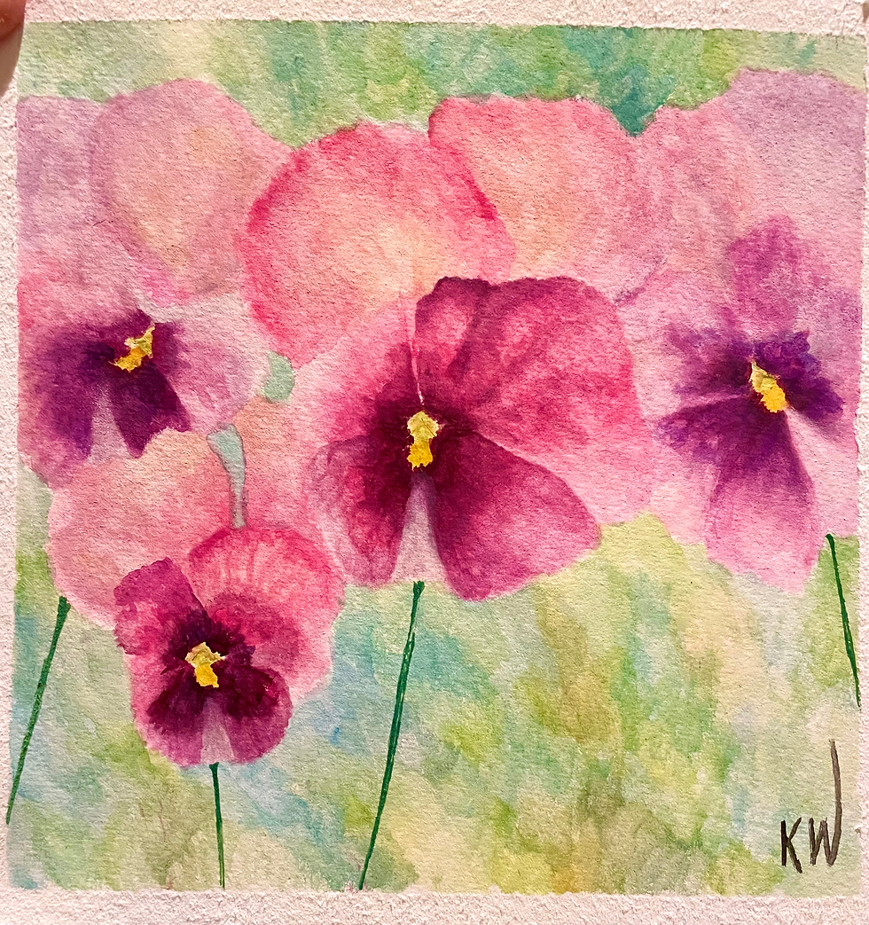 Pink Pansies