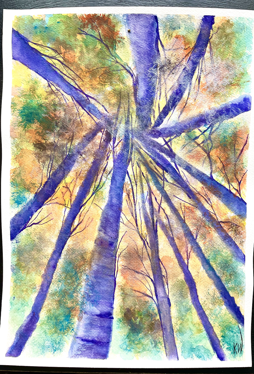 Aspen Canopy