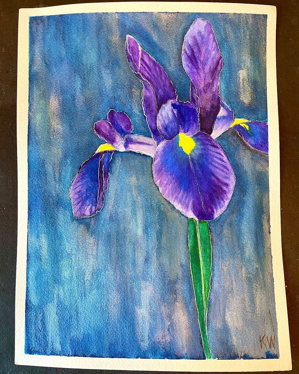 Purple Iris