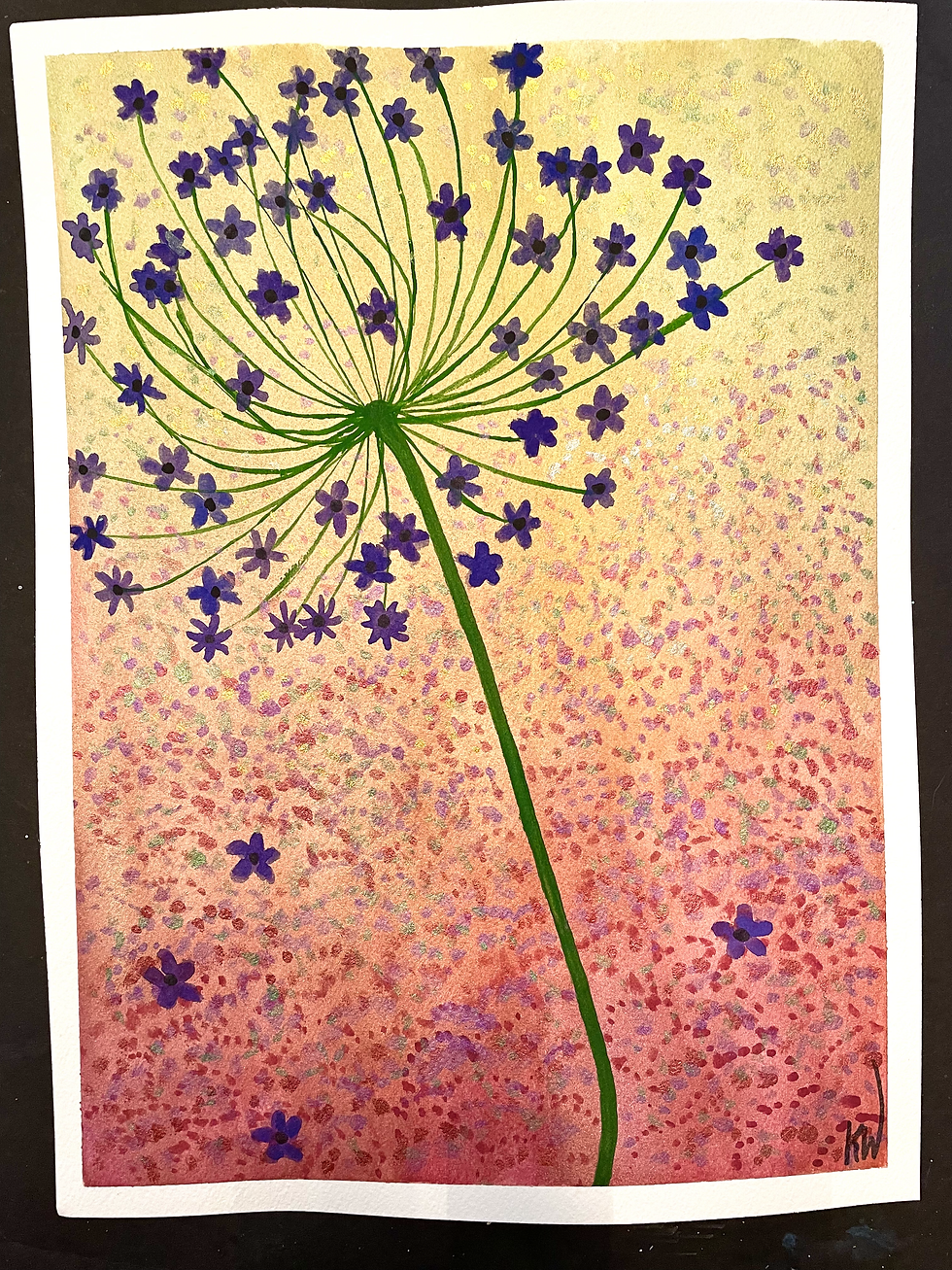 Summer Alium