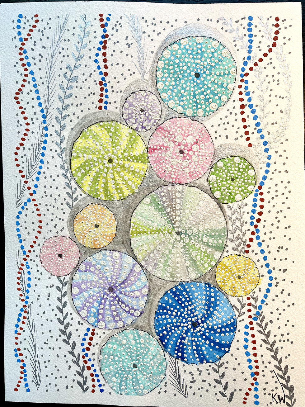 Sea Urchin Party