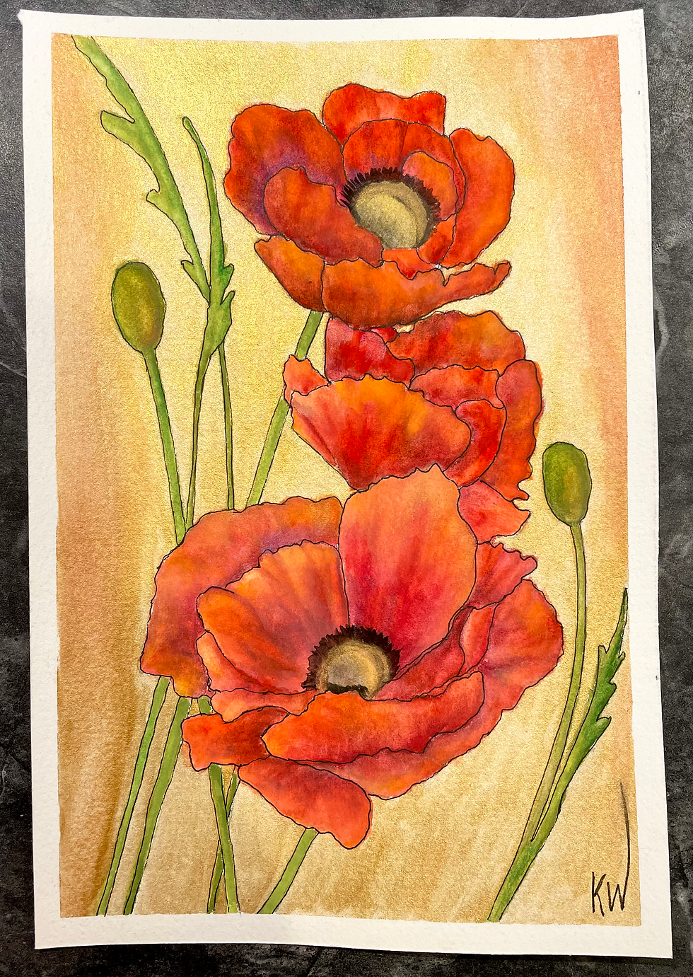 Classic Poppies
