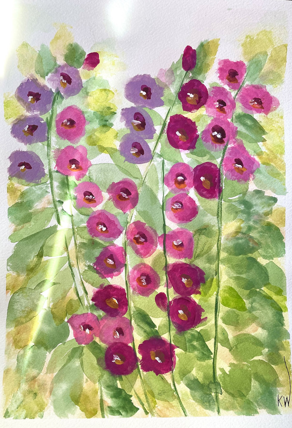 Hollyhocks