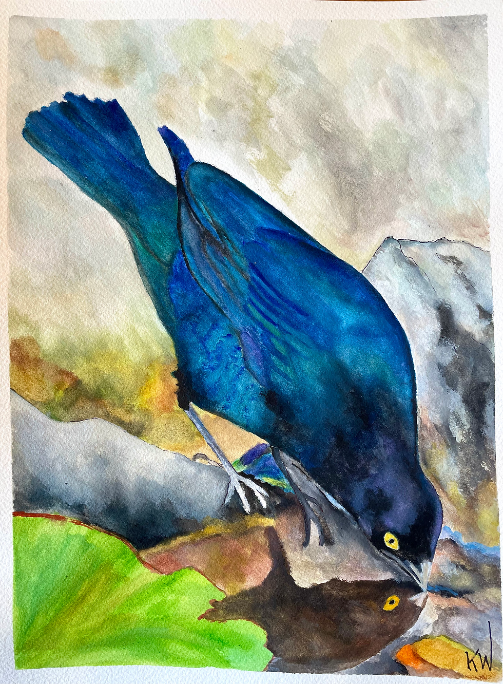 Starling