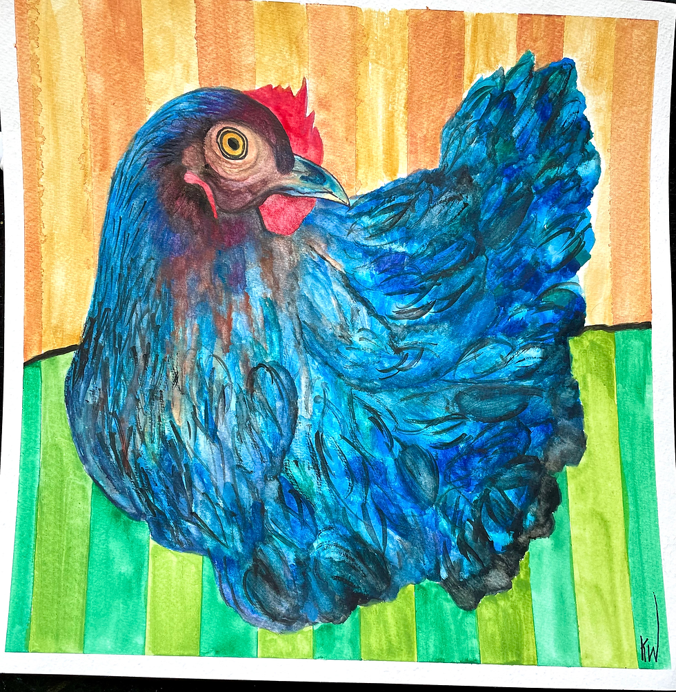 Fancy Blue Hen