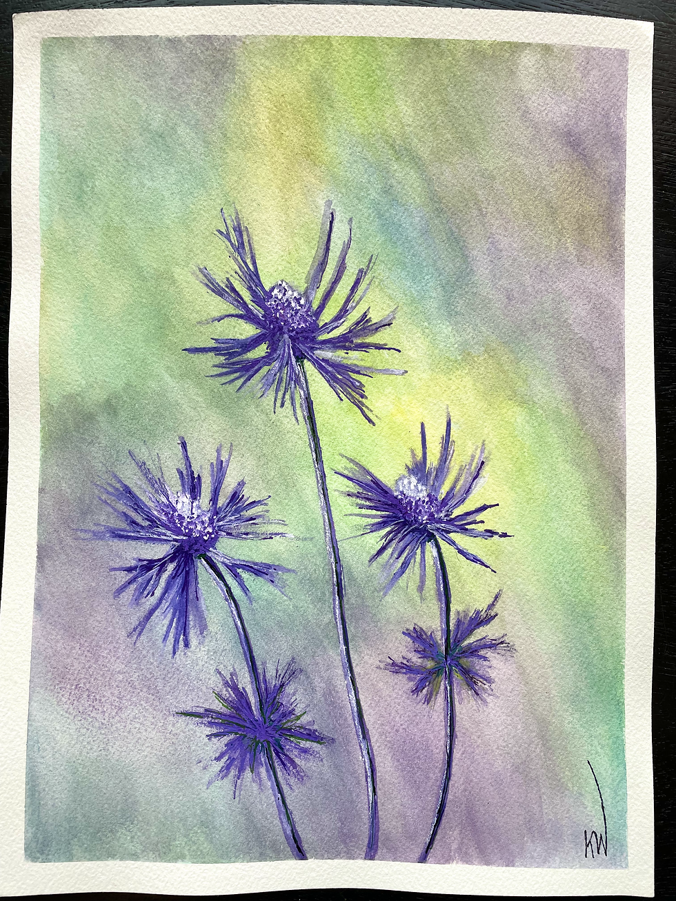 Sea Holly