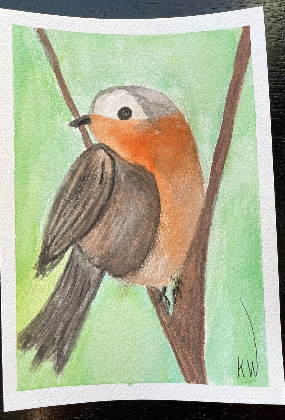 Robin