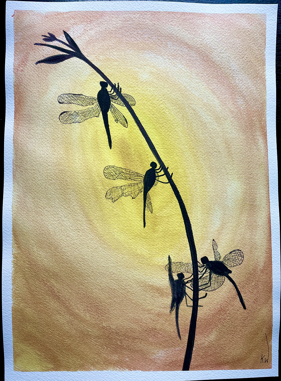 Sunset Dragonflies