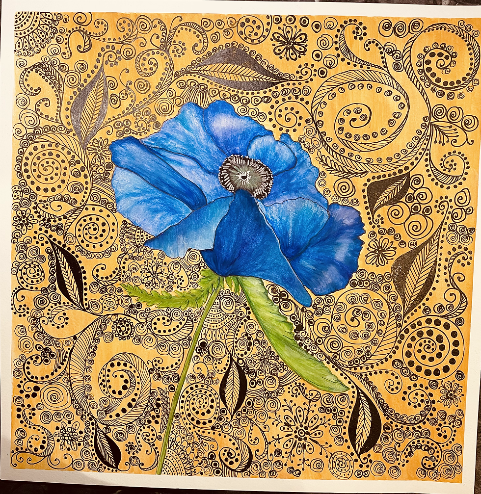 Blue Poppy