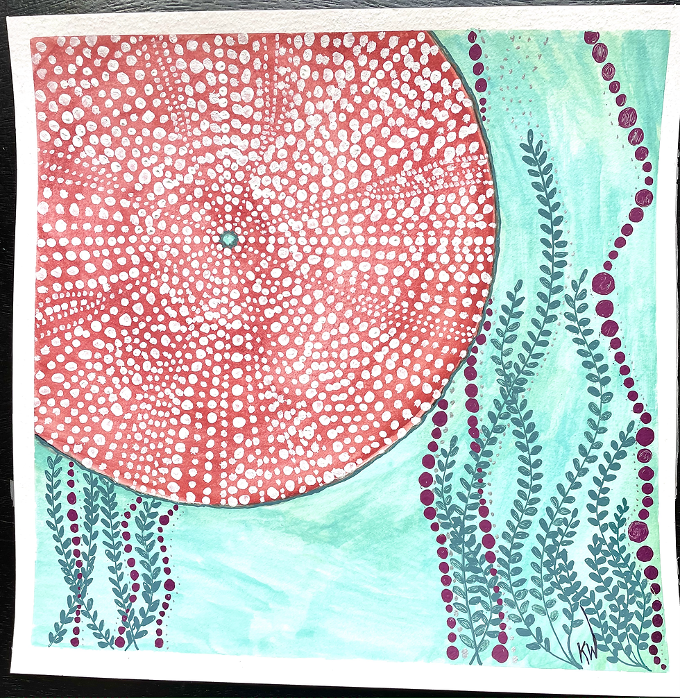 Sea Urchin