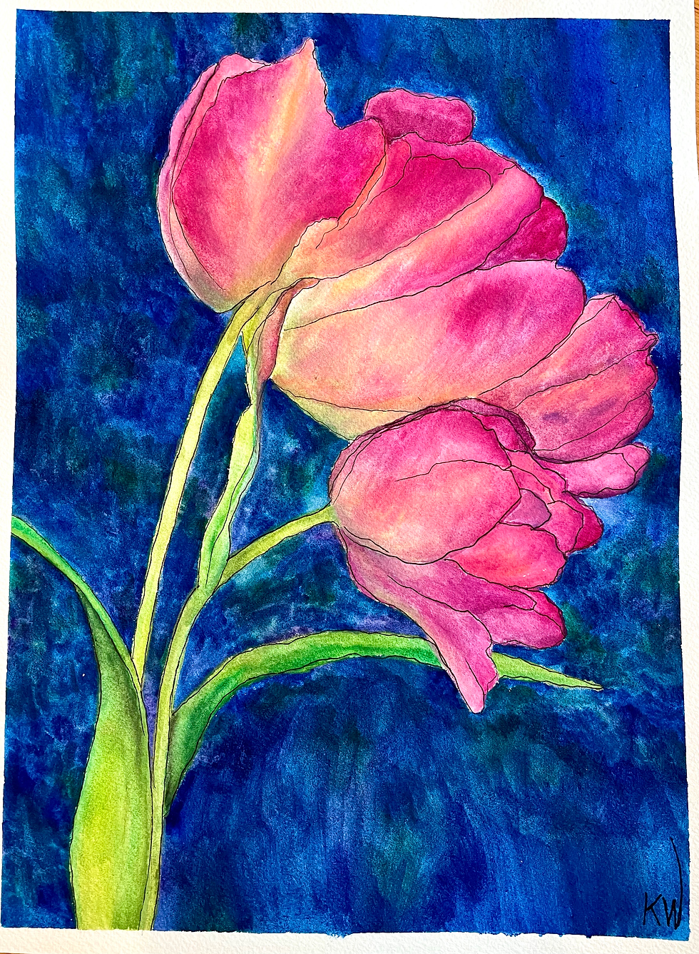 Lazy Pink Tulips
