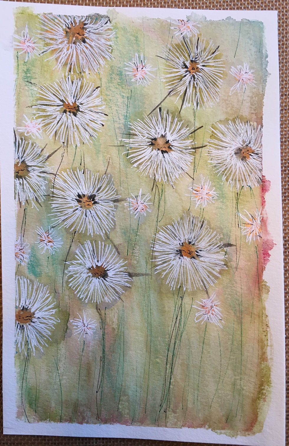 Dandelions