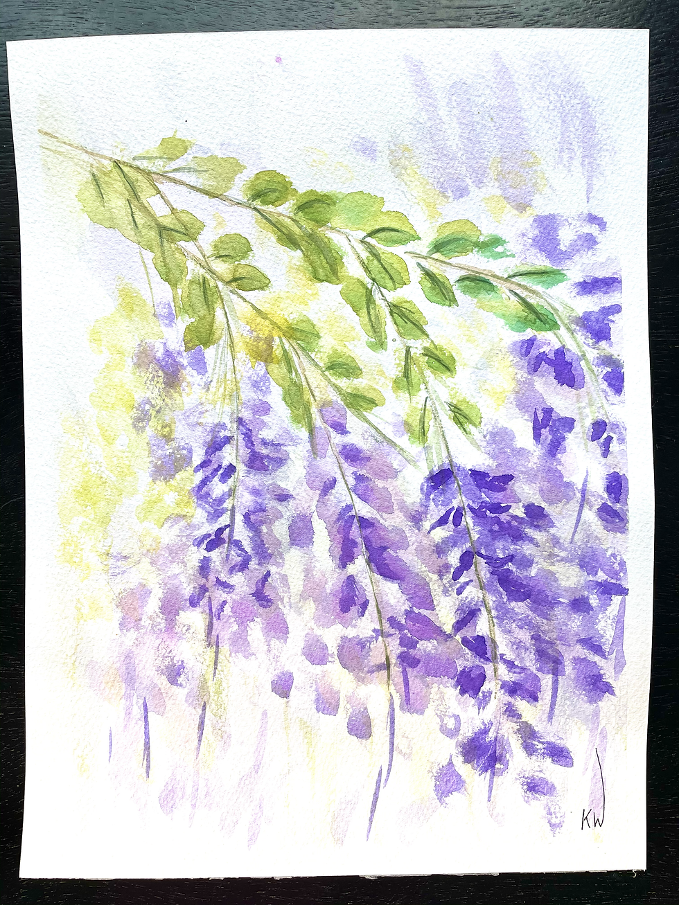 Wisteria