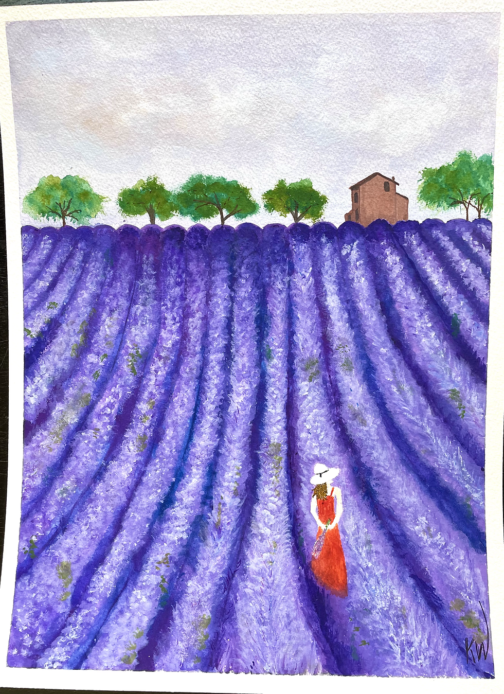 Lavender Fields Forever