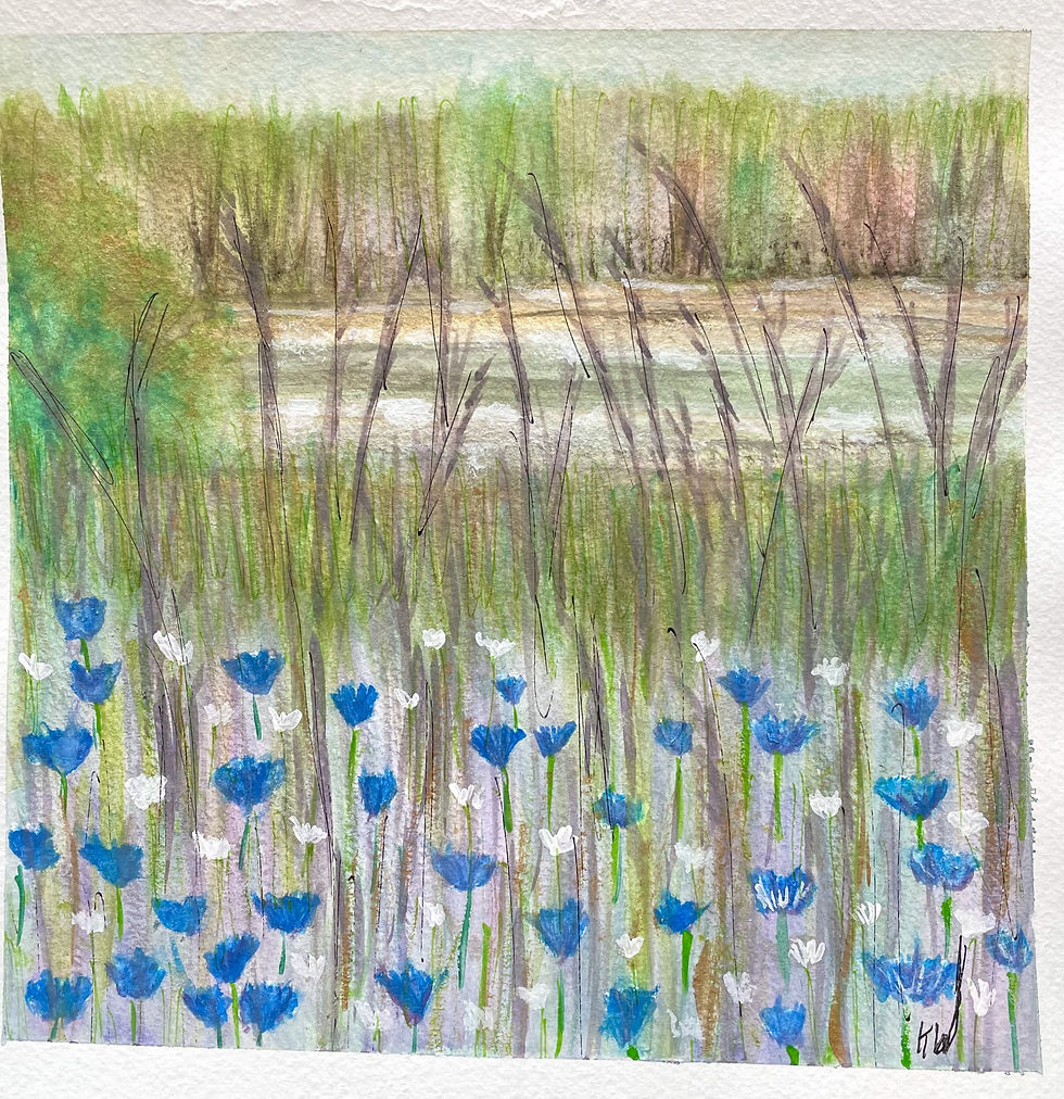 Summer Pond