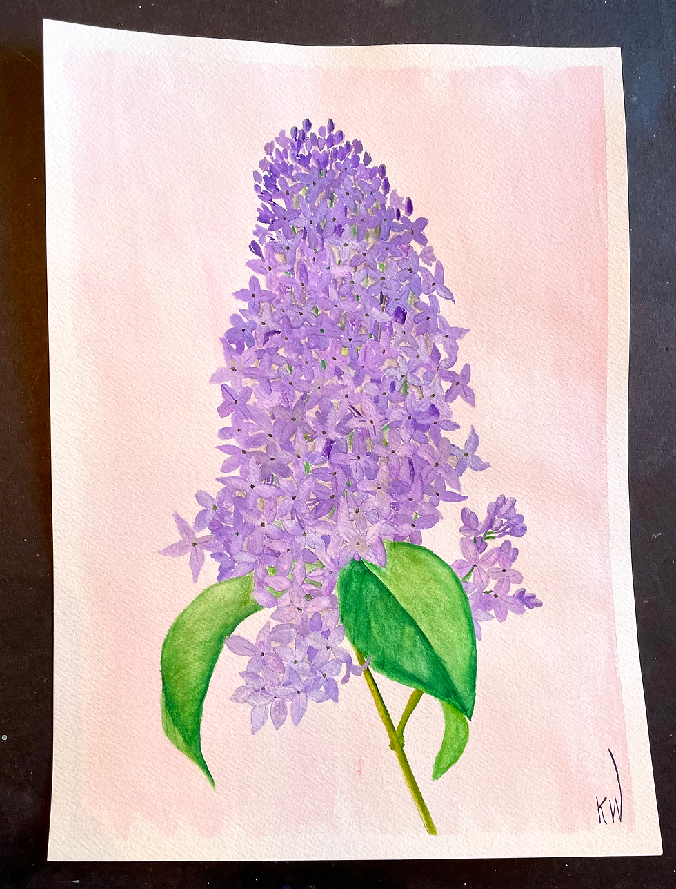 Lilac