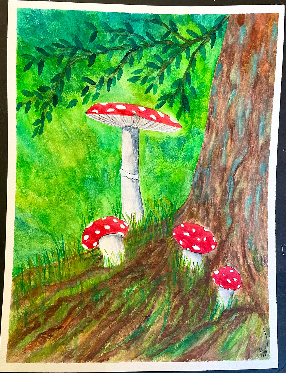 Forest Floor Toadstools