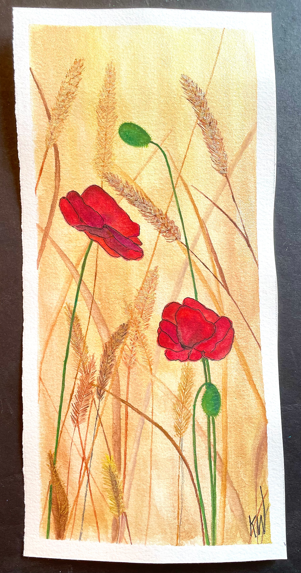 Poppies in Hay