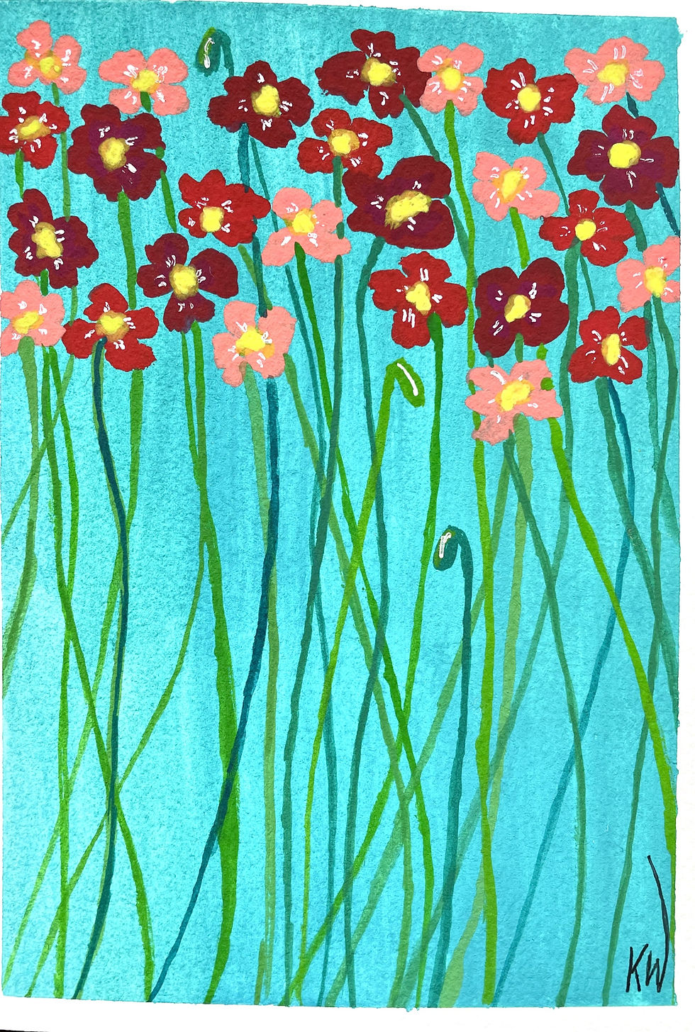 Power Poppies