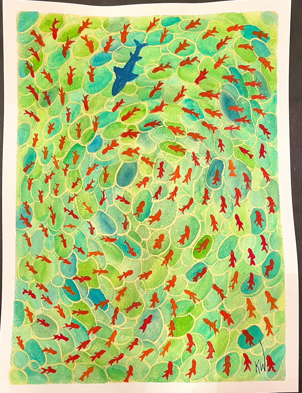 School Of Fish