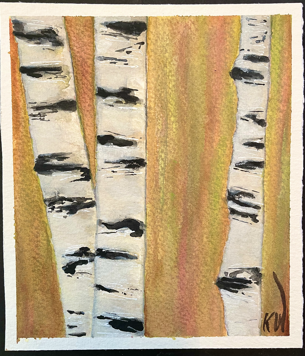 Aspen Trunks