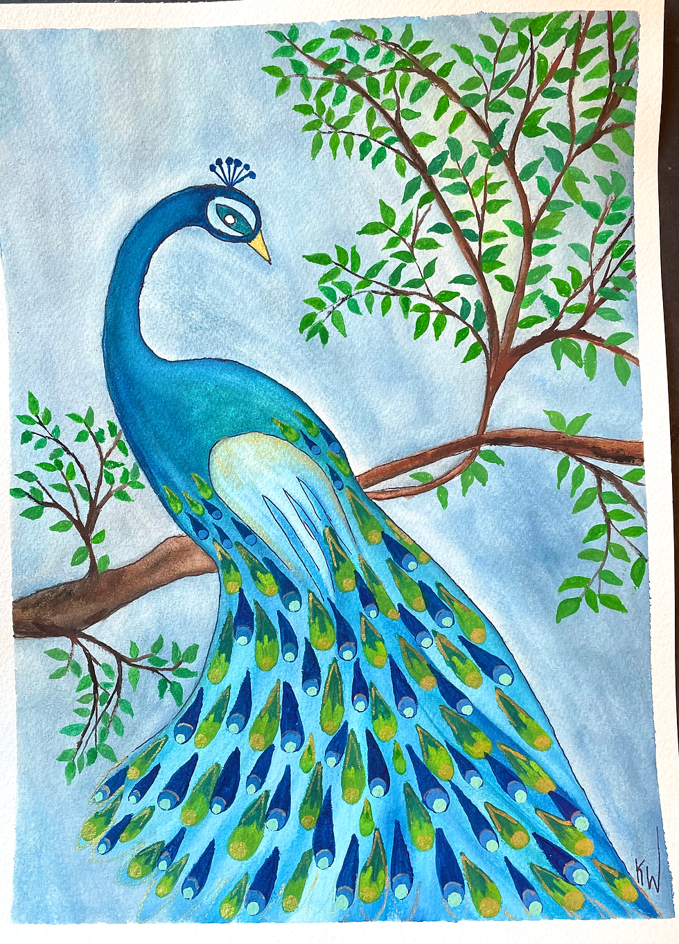 Perched Peacock