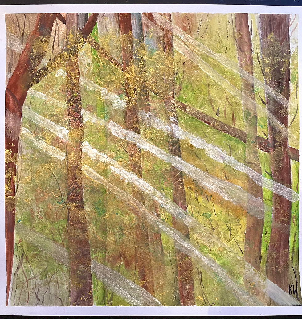 Forest Bathing